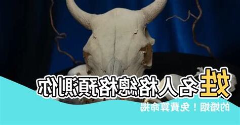 姓名 人格
